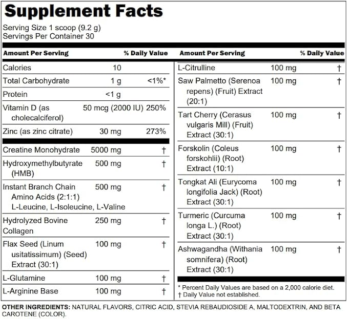 Clean Nutra Creatine Power for Men + HMB BCAA L Arginine L Citrulline Tongkat Ali Saw Palmetto Ashwagandha Collagen Flax Seed Turmeric Preworkout Stevia Nitric Oxide L Glutamine Amino Acids