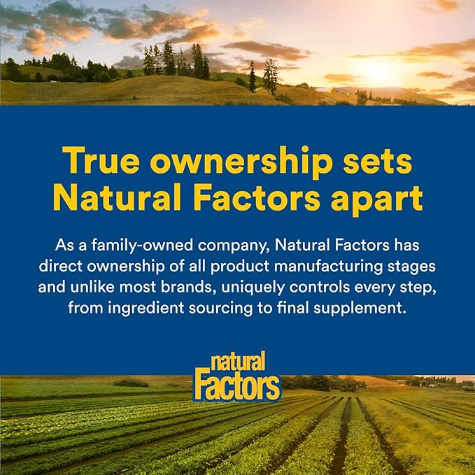 Natural Factors Lung, Bronchial & Sinus Health, Natural Supplement for Respiratory Health and Easy Breathing, 90 Tablets