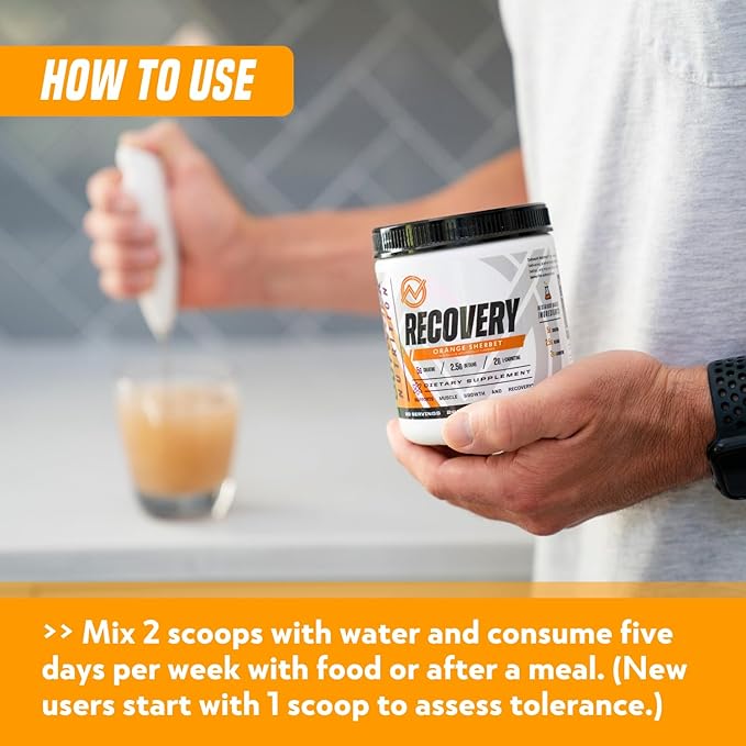 Outwork Nutrition Post Workout Recovery Powder - Creatine Monohydrate, KSM-66 Ashwagandha & Tart Cherry - Speeds Recovery, Eases Soreness - Creatine Powder for Men & Women, Orange Sherbet, 230 Gr