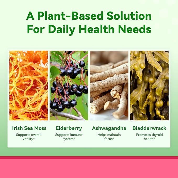 Irish Sea Moss Gummies with Ashwagandha, Elderberry, Apple Cider Vinegar, Bladderwrack, Burdock Root & Black Seed for Immune Support – Mixed Berry Flavor, 2 Pack