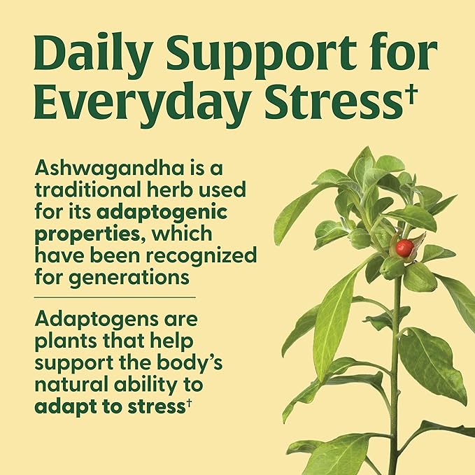 MegaFood Ashwagandha Complex (Formerly Stress Protect) - Ashwagandha Supplements Astragalus Root & Holy Basil - Vegetarian, Gluten Free, Cortisol Supplement - 60 Mini Tablets, 30 Servings