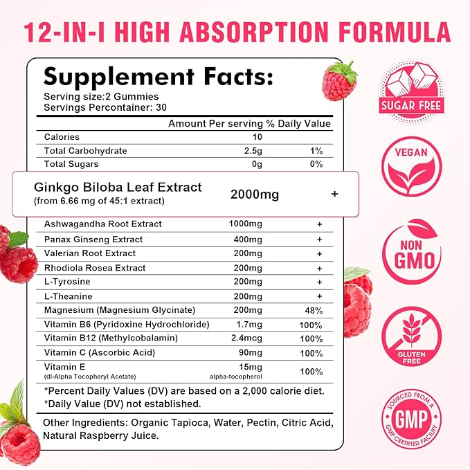 2 Pack Ginkgo Biloba Gummies with Panax Ginseng and Magnesium, Ginkgo Biloba Supplements for Focus, Memory, and Brain Health for Adults & Kids, Vegan Raspberry Flavor Gummies, 120 Count
