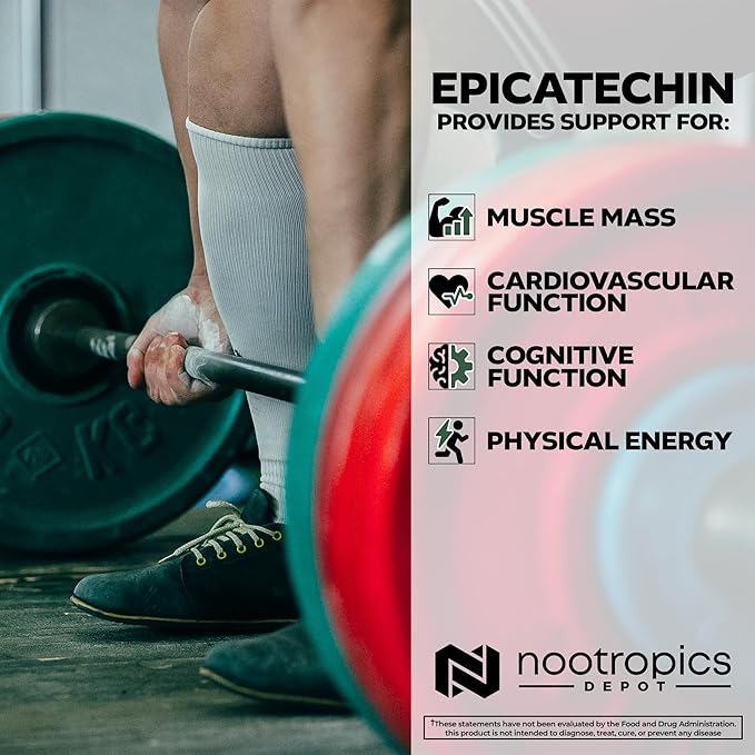 Nootropics Depot Epicatechin Tablets | 200mg (−)−Epicatechin + 6mg Piperine for Bioavailability | Green Tea Extract | Promotes Muscle Mass, Cardiovascular Health, and Energy | 90 Count