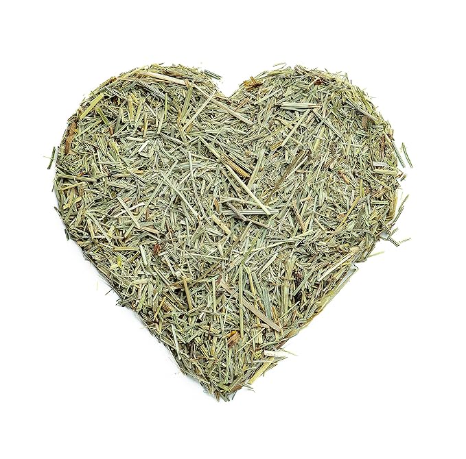 Super Value Pack 5 LB - Organic Horsetail (Equisetum arvense) โ Loose Dried Herb โ Edible Grade for Tea, Infusions & Herbal Blends
