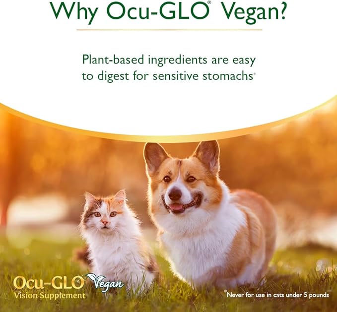 Ocu-GLO® Vegan Capsules - Vision Supplement for Dogs & Mature Cats - Formulated with Lutein, Algae Based Omega-3 Fatty Acids, Grape Seed Extract & Antioxidants to Promote Eye Health - 90 ct