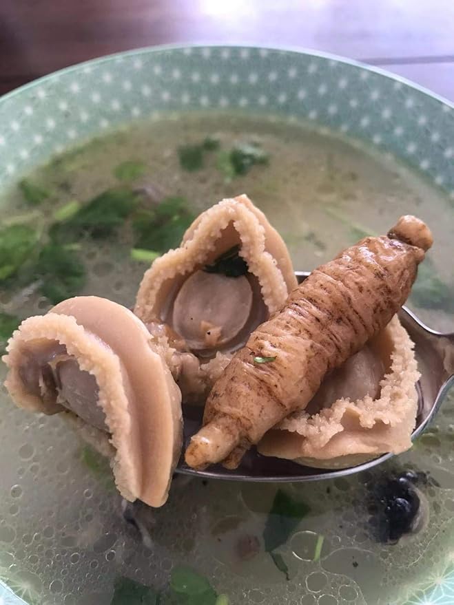 DOL Hand-Selected American Wisconsin Farmed Ginseng Root Medium&Large 美国威斯康辛州 长枝西洋参 花旗参 | Cultivated Wisconsin American Ginseng (Medium 8oz/Box)