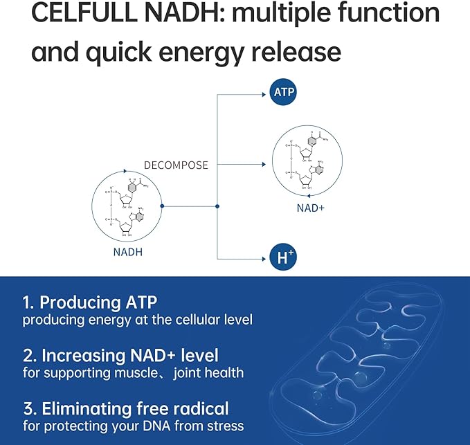 CELFULL NADH Supplement 40mg Enchance NAD+ Supplement for Immune Support Anti-Aging Cell Regeneration Energy & Chronic Fatigue Supplements