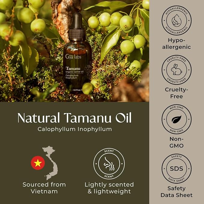 Gya Labs Organic Tamanu Oil For Skin & Face - 100% Pure Natural Unrefined Tamanu Carrier Oil for Hair - Soothing & Renewing (1 Fl Oz)