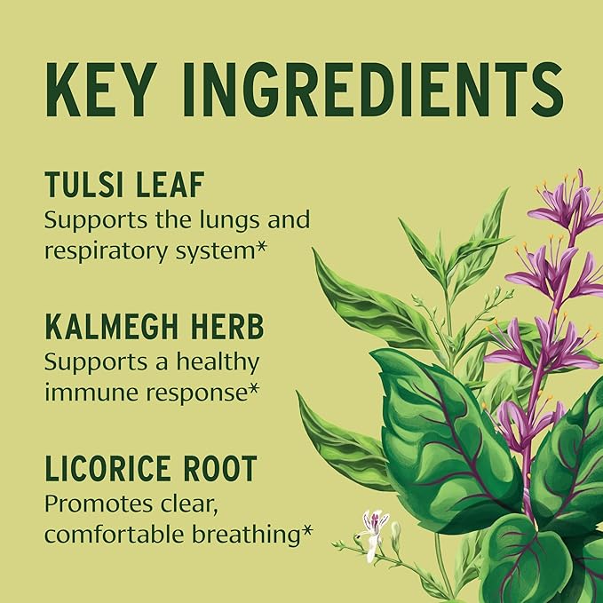 Banyan Botanicals Immune Strong – Organic Supplement with Turmeric & Tulsi ­­– Ayurvedic Immune Formula That Supports The Body's Natural Defenses* – 90 Tablets – Non-GMO Sustainably Sourced Vegan