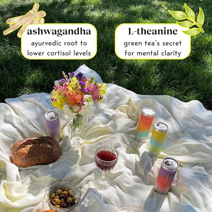 Moment Botanical Soda Soft Drink (Shark Tank) - SPARKLING Non Alcoholic Drinks | Lemon Turmeric | | L-Theanine & Ashwagandha for Calm & Clarity | 0 Added Sugar 0 Caffeine | 12-pack