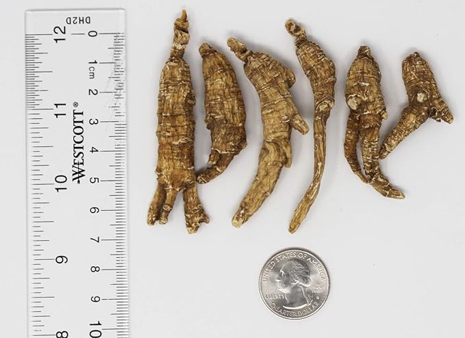 8OZ=227gm/box American Ginseng,Hand-Selected Wisconsin Farmed Ginseng Root | Long Small |美国威斯康辛州 长枝西洋参 花旗参 礼盒装 |Cultivated Wisconsin American Ginseng WI 063# Box