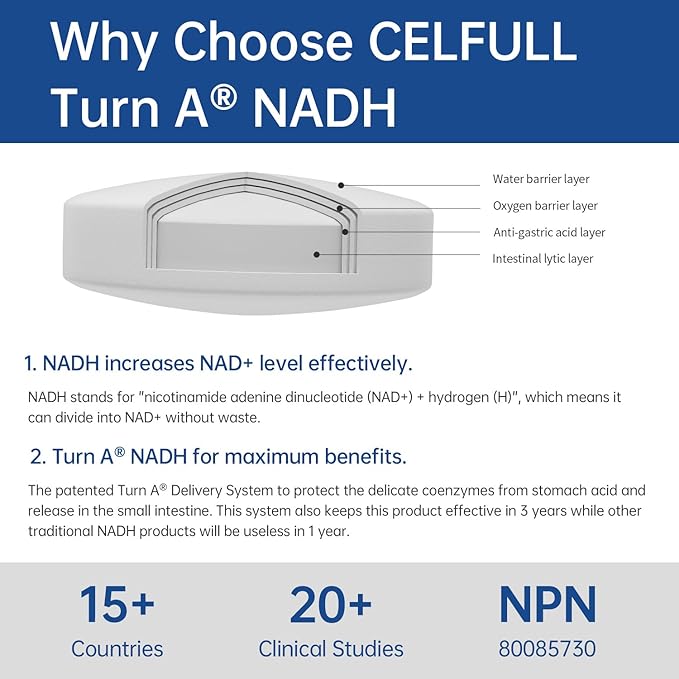 CELFULL NADH Supplement 40mg Enchance NAD+ Supplement for Immune Support Anti-Aging Cell Regeneration Energy & Chronic Fatigue Supplements