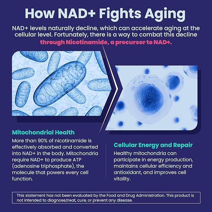 2 Pack - Nicotinamide 500mg Gummies, NAD+ Supplement for Women & Men w/Collagen Peptides, (Flush Free Niacin) Vitamin B3 Niacinamide for Anti-Aging, NAD+ Levels, Longevity, Focus & Brain, Sugar Free