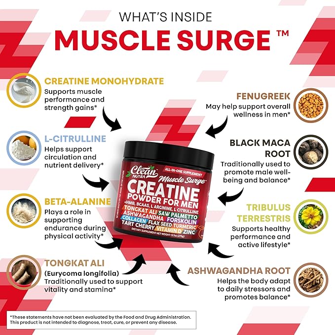 Clean Nutra Creatine Power for Men + HMB BCAA L Arginine L Citrulline Tongkat Ali Saw Palmetto Ashwagandha Collagen Flax Seed Turmeric Preworkout Stevia Nitric Oxide L Glutamine Amino Acids
