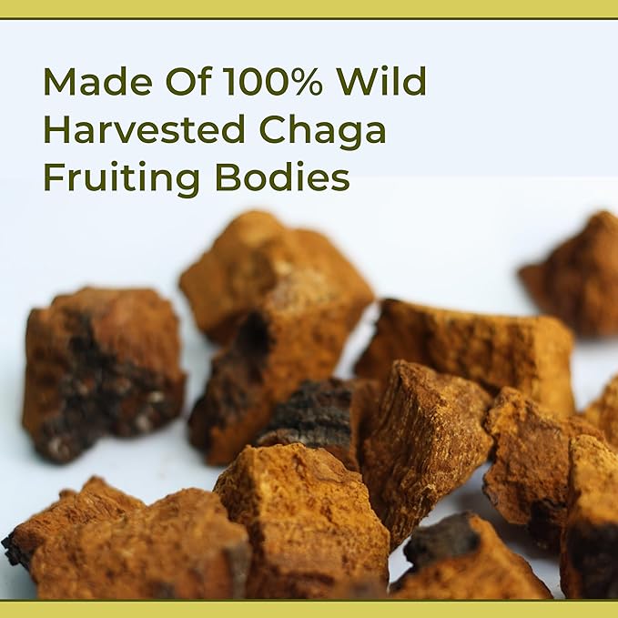 Naturealm Chaga Mushroom Liquid Tincture Supplement – Immune Support, Antioxidant Boost & Hair, Skin, Nail Health, Vegan, Non-GMO – Wild-Harvested Fruiting Bodies, 1 Month Supply