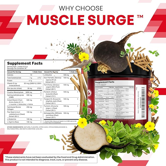 Clean Nutra Creatine Power for Men + HMB BCAA L Arginine L Citrulline Tongkat Ali Saw Palmetto Ashwagandha Collagen Flax Seed Turmeric Preworkout Stevia Nitric Oxide L Glutamine Amino Acids