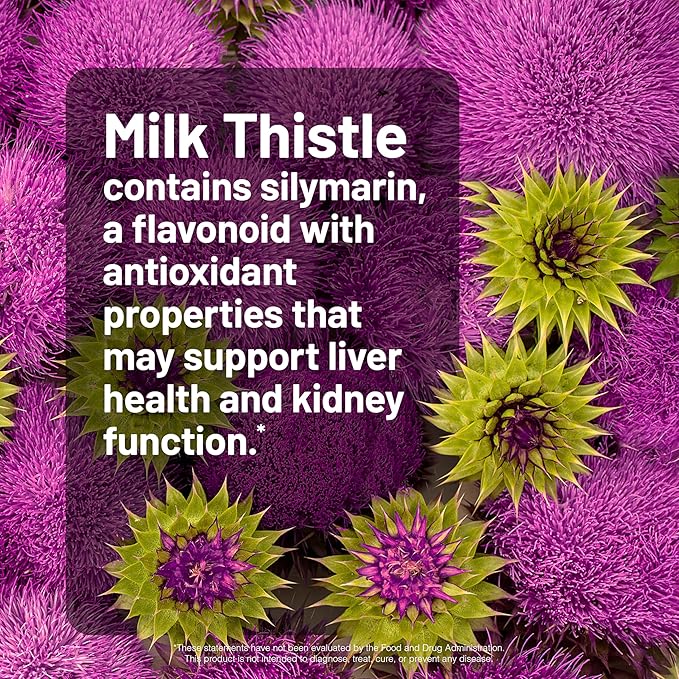 NatureWise Milk Thistle with Dandelion Root - Silymarin - Antioxidant Liver & Kidney Health Support Supplement - Vegan, Non-GMO, Gluten Free - 180 Count[180-Day Supply]